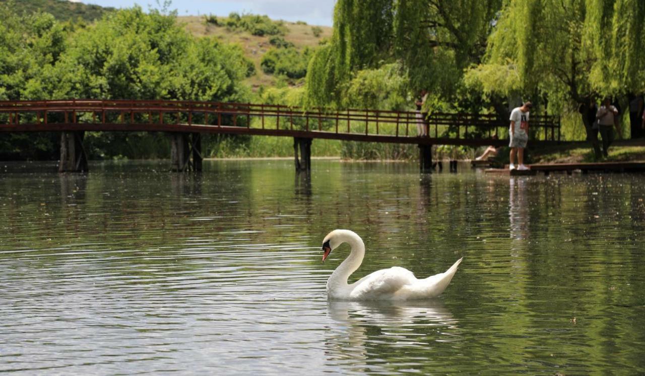 British Hotel Pogradec Exteriér fotografie